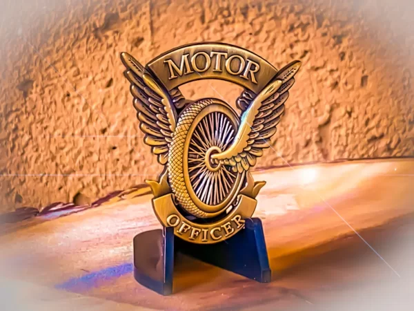 Motor Officer Pins - Image 2